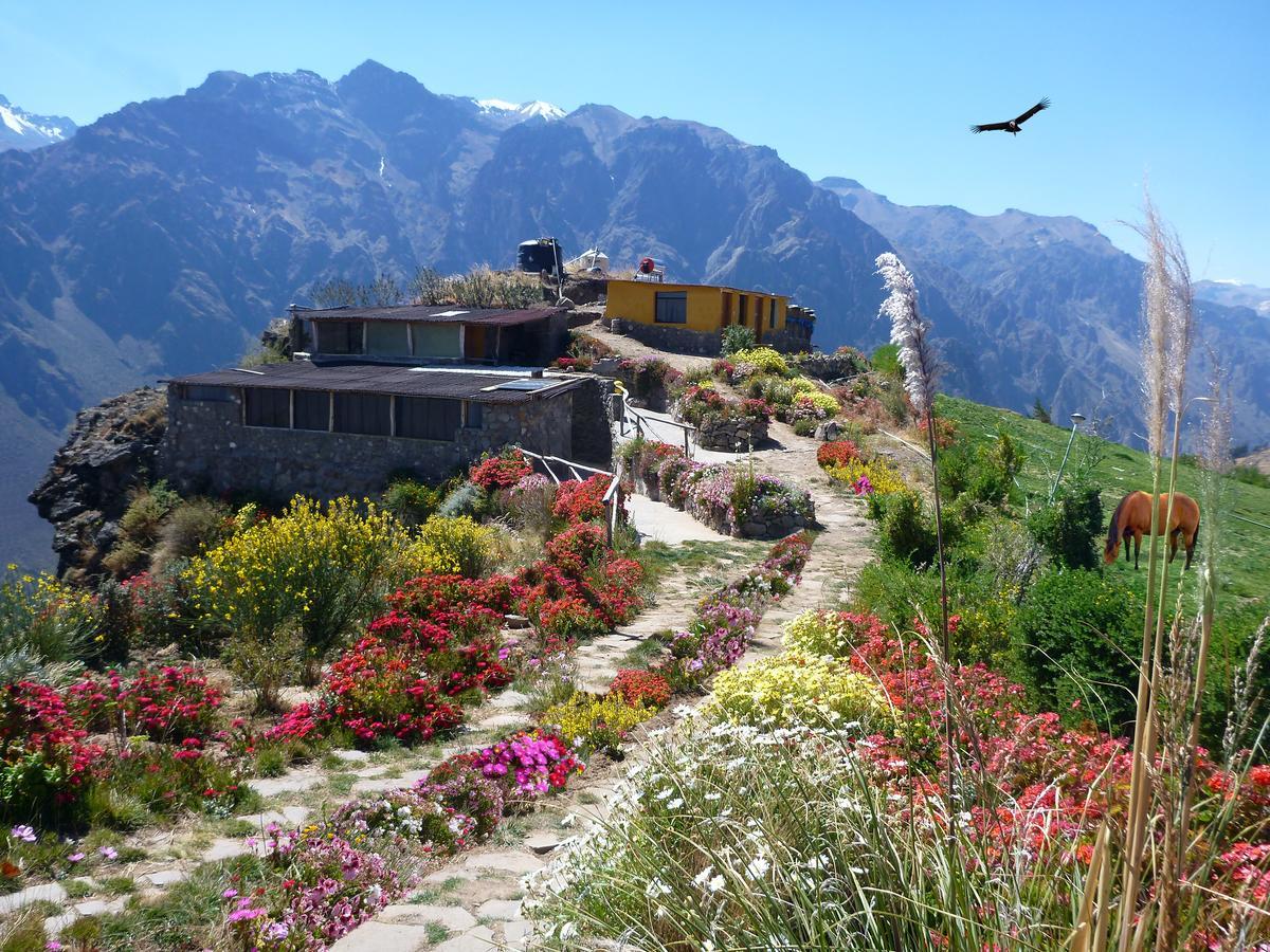 La Granja Del Colca Villa กาบานากอนเด ภายนอก รูปภาพ