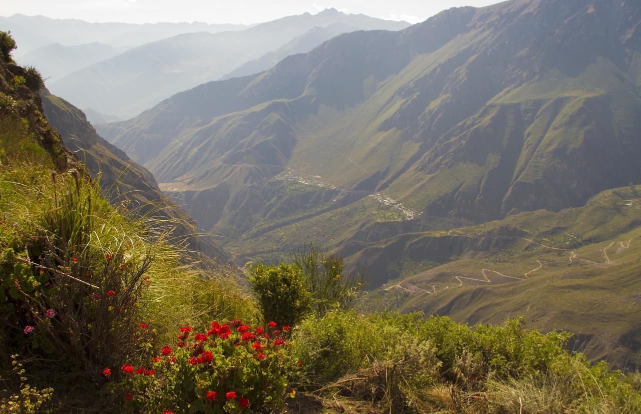 La Granja Del Colca Villa กาบานากอนเด ภายนอก รูปภาพ