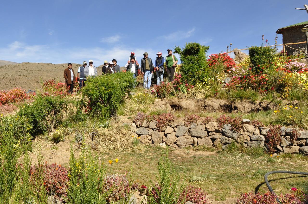La Granja Del Colca Villa กาบานากอนเด ภายนอก รูปภาพ