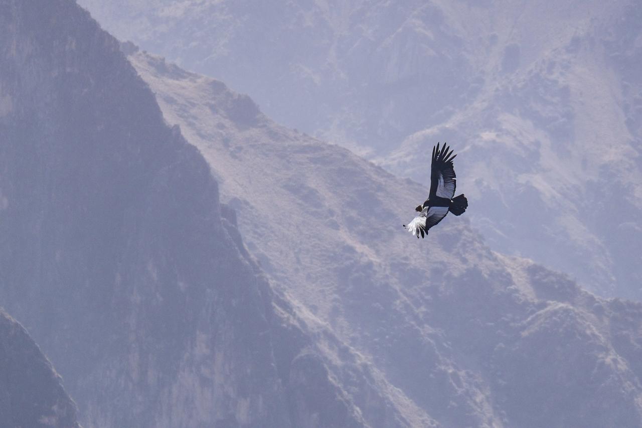 La Granja Del Colca Villa กาบานากอนเด ภายนอก รูปภาพ