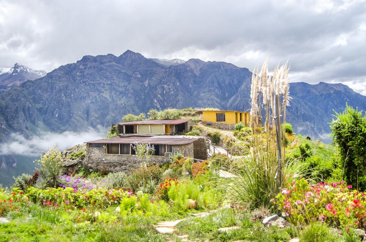 La Granja Del Colca Villa กาบานากอนเด ภายนอก รูปภาพ